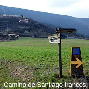 Camino de Santiago franc&eacute;s