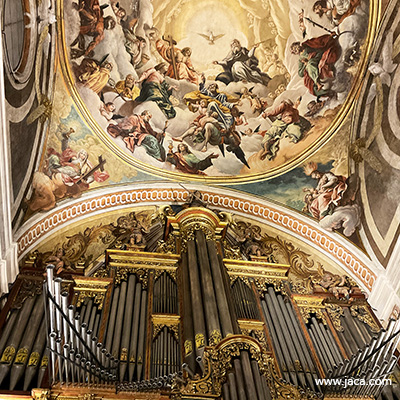 Visita guiada a las pinturas de Bayeu y el órgano de la Catedral