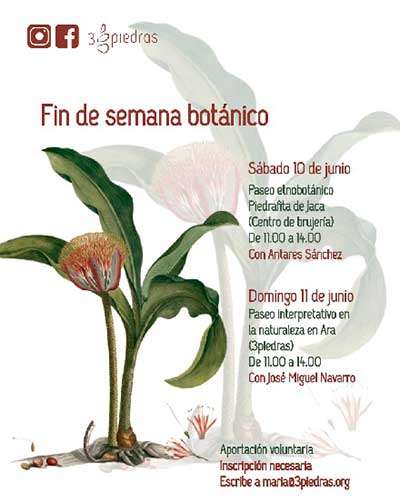 Fin de Semana Botánico