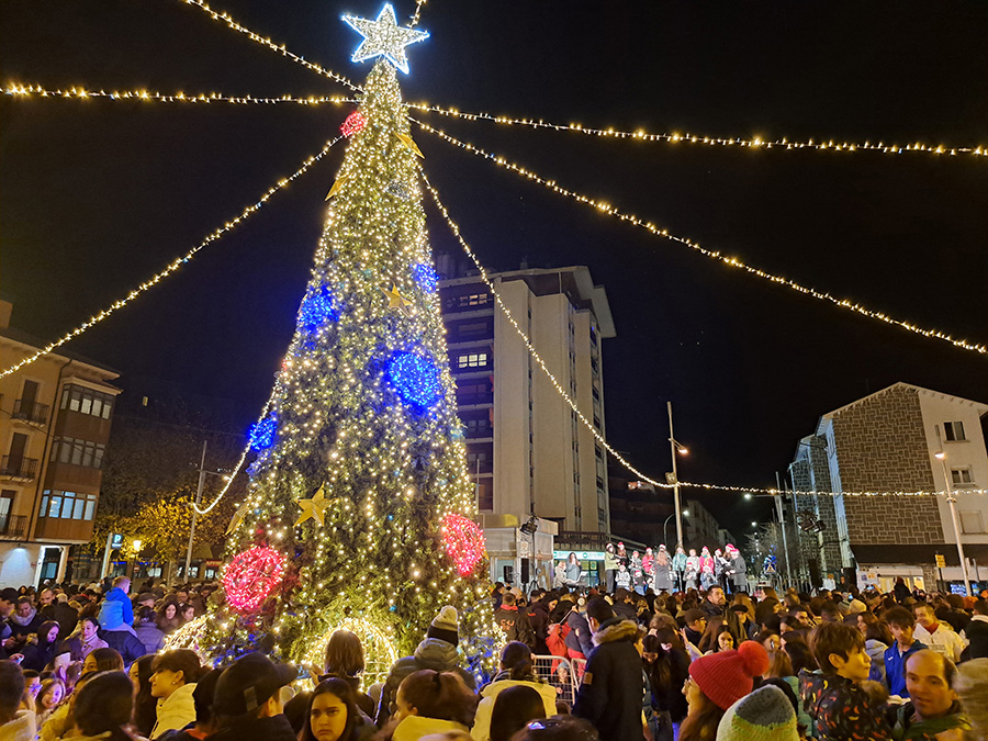 Fiesta benéfica del encendido navideño