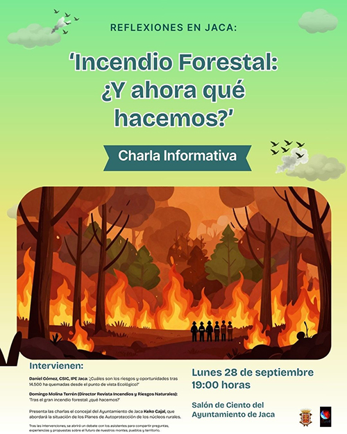 Incendio forestal ¿y ahora qué hacemos?