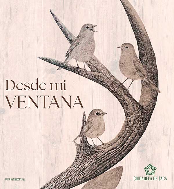 Exposición «Desde mi ventana». Jara Benítez