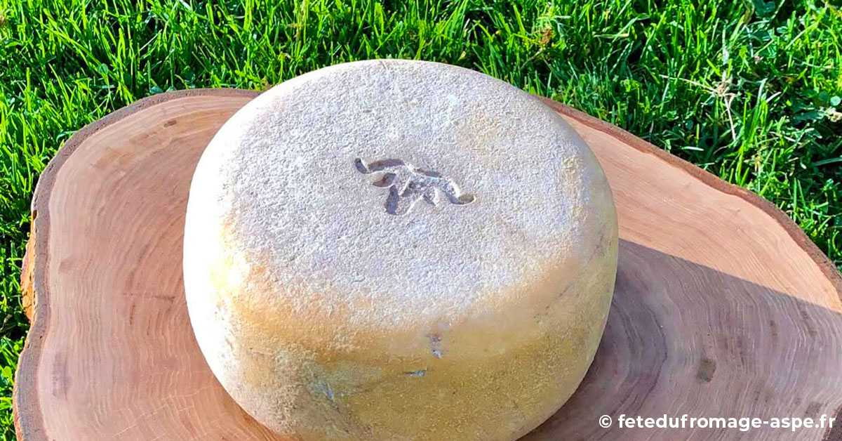 Fiesta del Queso de Lées-Athas, disfruta una cita imprescindible