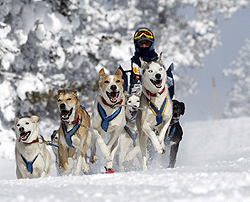 la carrera de trineos con perros más importante de Europa