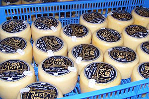 Queso Flor de Aspe