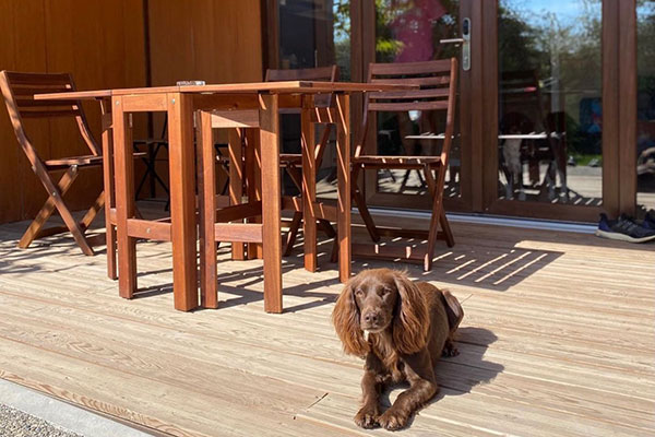 Del amor por el Pirineo nace El Arrebol Comfort Camp, un alojamiento petfriendly ubicado a la sombra del Monte Oroel, que añade la comodidad a la experiencia en la naturaleza, creando la receta perfecta de una escapada a la montaña en la que desconectar del ritmo de vida acelerado de la ciudad, para conectar con uno mismo y con el entorno.