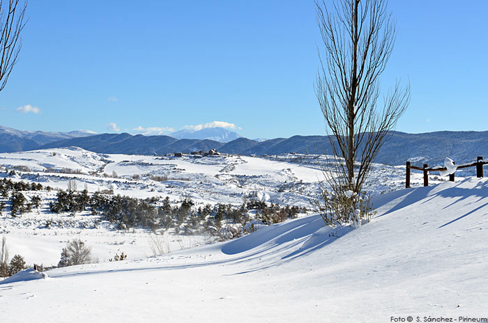 La última nevada en imágenes. Badaguás - Jaca © Sergio Sánchez