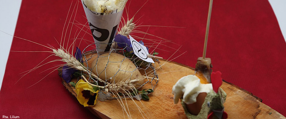 IX Concurso de Tapas y Cazoletas del Pirineo Aragonés 2015