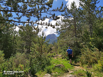 Rutas y paseos por Jaca . Senderismo