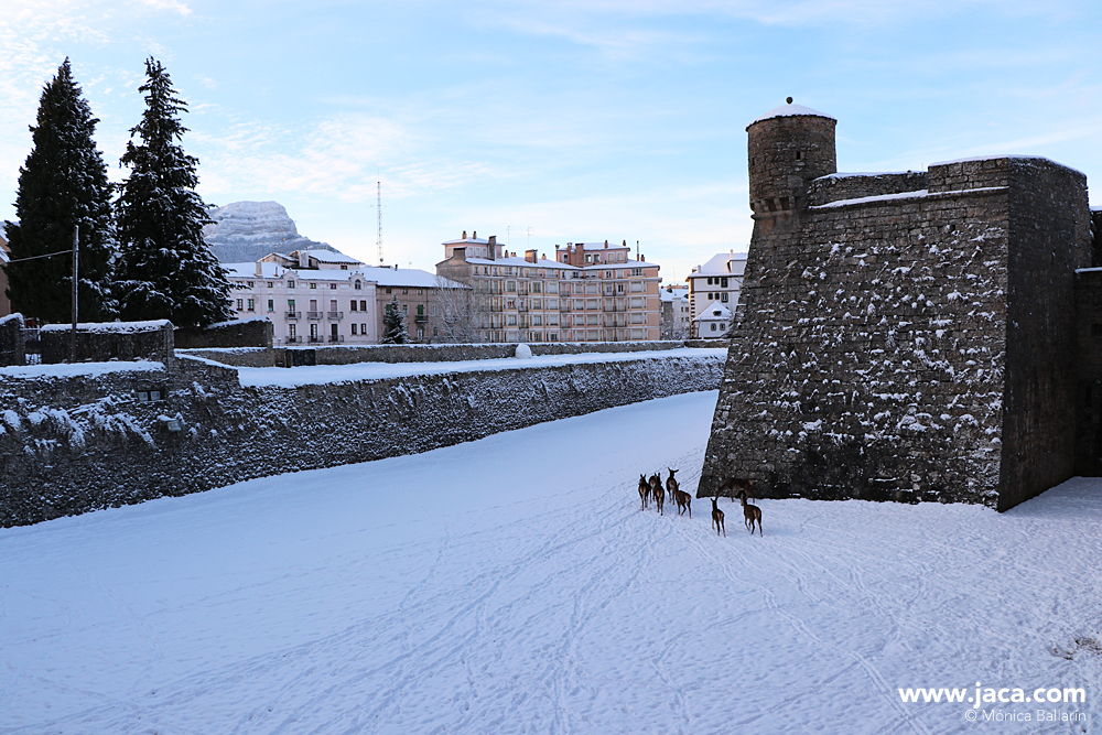 © Pirineum. Ciudadela - Castillo de San Pedro