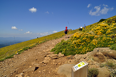 Sendero a la Peña Oroel