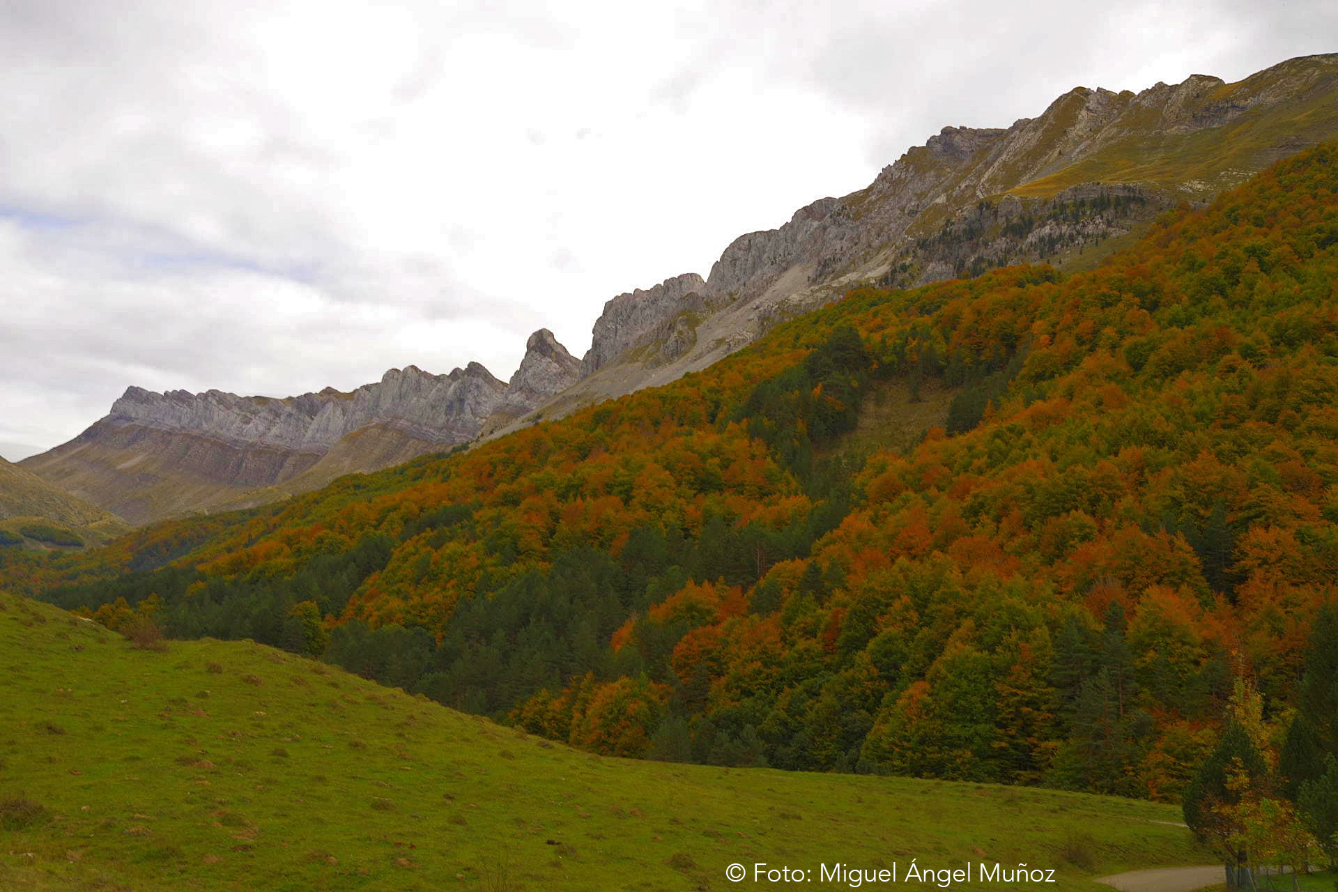 Parque Natural de los Valles Occidentales 