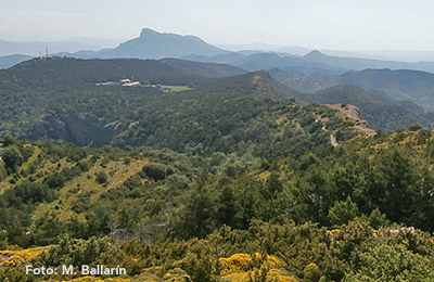 Parque Cultural de San Juan de la Peña y Paisaje Protegido de San Juan de la Peña y Monte Oroel 