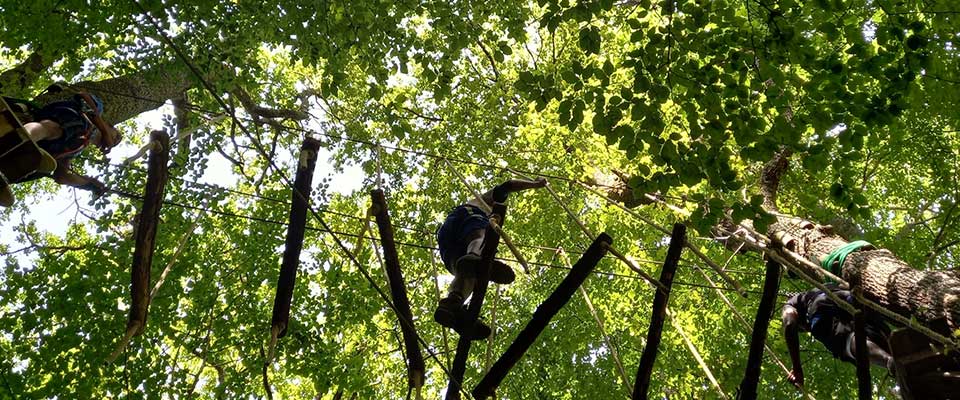 Oba'O un parque arbóreo diferente, nueva propuesta en el Valle de Aspe