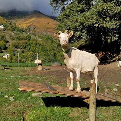 Parc’Ours en Borce. Valle de Aspe, cerca de Jaca