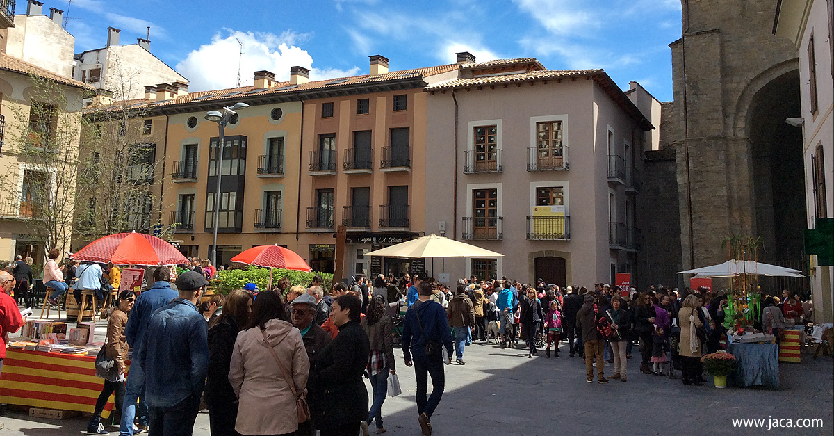Jaca y la Jacetania celebran el Día del Libro y de Aragón el próximo fin de semana