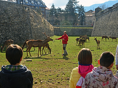 Visitas teatralizadas, ciervos y décimo aniversario del Museo de Miniaturas de la Ciudadela de Jaca