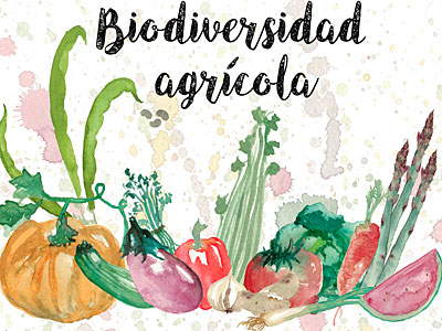 La Feria Aragonesa de la Biodiversidad Agrícola llega a Embún