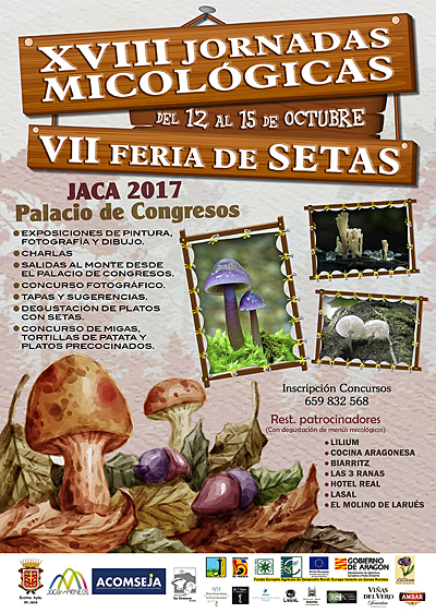 Las jornadas micológicas de Jaca y la Feria de setas arrancarán este jueves con una salida al monte –que se repetirá todas las mañanas– y el curso de cocina de setas (para el que es necesario inscribirse). Todas las tardes, se han previsto –además de la feria de setas– charlas audiovisuales y durante las mañanas del puente, los que no quieran ir a recoger setas podrán participar en los concursos de cocina. Además, tendrá lugar un concurso fotográfico y diversas exposiciones de pintura, fotografía y dibujo. 