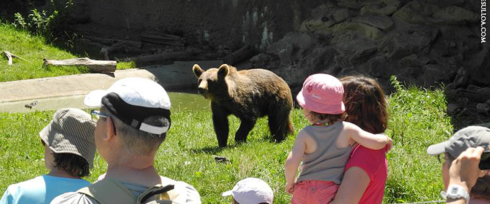   Parc'Ours es un espacio de encuentro, fomentando la sostenibilidad, con osos, sarrios y cabras montesas, marmotas, caballos, cabras, ciervos, caballos y asnos, gamos… Encontraremos restauración bio para llevar y dispone, al igua que Ludopía, de una zona de picnic .