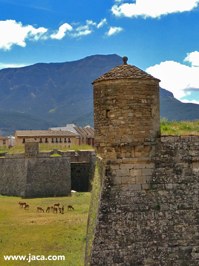 Jaca nos propone un buen número de actividades para disfrutar con niños, desde un paseo a caballo o en pony, hasta dar de comer a los ciervos de la Ciudadela, además de conocer a los osos, sarrios, marmotas y cabras del Espacio Faunístico de Borce, disfrutar con los cerca de 100 juegos y 25 módulos sensoriales del Espace Ludopía (con recorrido y actividades para personas con movilidad reducida y sello “Handicap4”:auditivo, mental, motor y audiovisual) o jugar en nuestros parques y zonas de juego. 