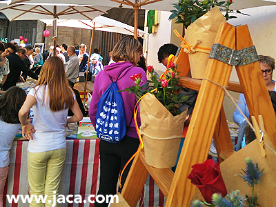 Todo listo en la Jacetania para celebrar el Día del Libro y de Aragón