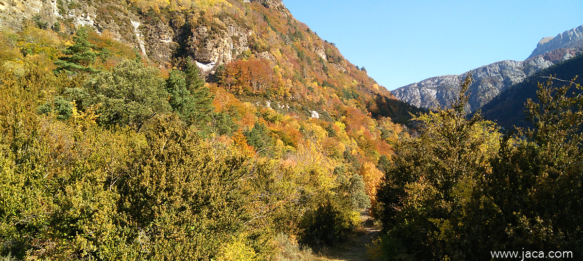 Finalmente os proponemos visitar los pueblos y valles de la Jacetania. El Valle de Hecho por su riqueza arquitectónica y natural, visita imprescindible y punto de partida de un buen número de excursiones y paseos. 