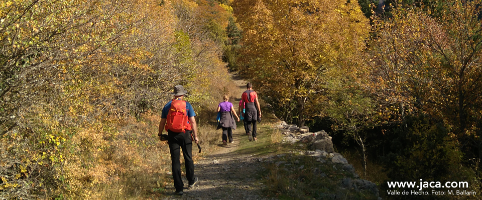 La previsión para el largo fin de semana del Pilar nos habla de temperaturas más agradables y sol, ideal para descubrir el Valle de Hecho (ver alojamientos), recorrer los senderos y rutas que nos ofrece Jaca y su entorno, dar un paseo con niños por Candanchú y Somport, subir a la Peña Oroel, visitar el Parque Nacional de Ordesa (precioso en otoño), recorrer un tramo del Camino de Santiago...