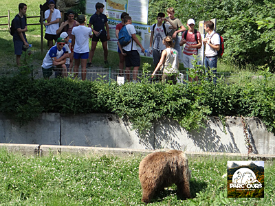 Fiesta en el Parc’Ours de Borce para preparar la hibernación de los osos