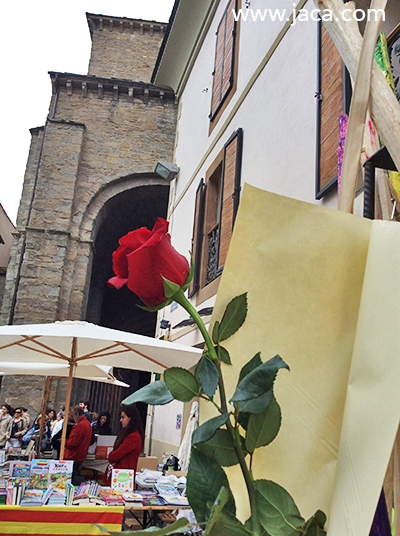 Jaca y Canfranc han preparado diversas propuestas para conmemorar el Día del Libro y de Aragón, mientras que Villanúa lo adelantó al pasado sábado, con gran éxito de asistencia y actividades para toda la familia.