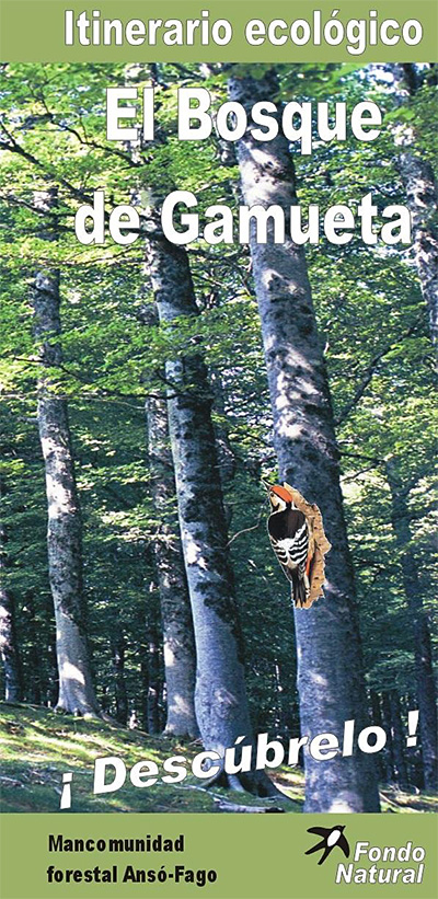 El hayedo abetal de Gamueta está considerado el mejor bosque montano del Pirineo aragonés. Se trata del mayor conjunto de árboles monumentales de la región, con docenas de hayas, abetos y tejos con más de 300 años de edad. Es el hábitat de la flora y fauna característica de los bosques maduros que antaño cubrieron toda la Cordillera. Aquí encuentran su último refugio o parte de su territorio algunas especies protegidas, y muy amenazadas, como el Pico dorsiblanco, el Pito negro, el Oso pardo, la rana y el tritón pirenaicos, insectos como la Rosalia alpina y la mariposa Apolo, y algunas plantas y musgos relictos.