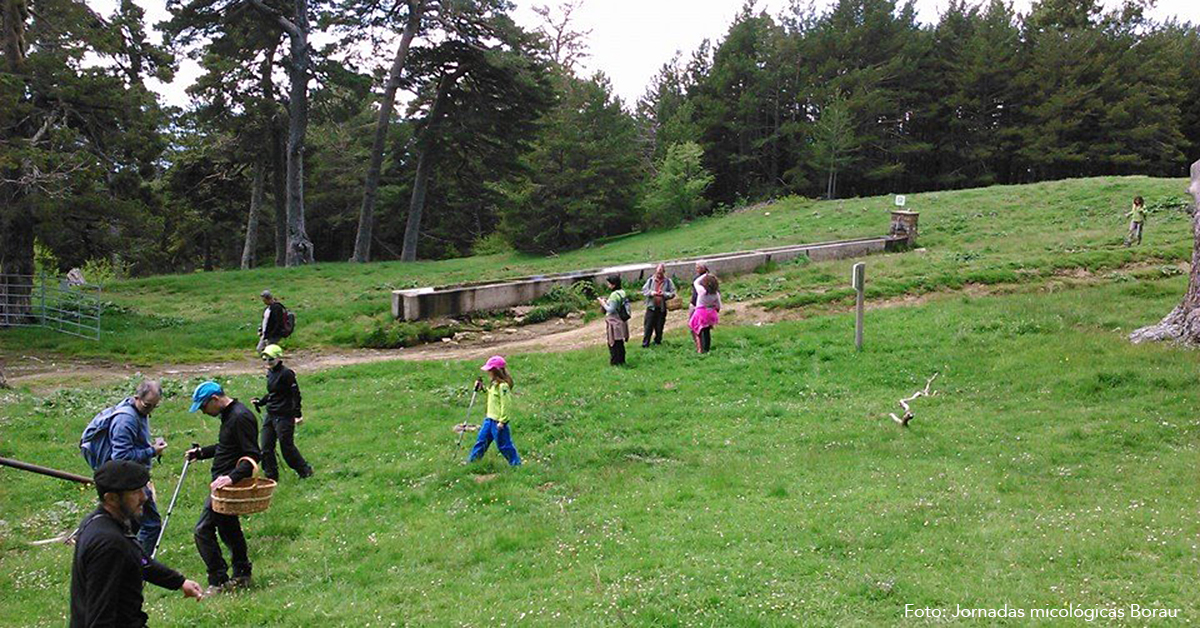 La cita que ya es un clásico en la primavera de la Jacetania nos propone salidas al monte, mercado agroalimentario y de artesanos, talleres, actividades infantiles, música folk y rock y vermú popular, entre otras opciones… 