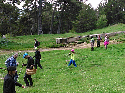 X Jornadas Micológicas y ambientales en Borau 