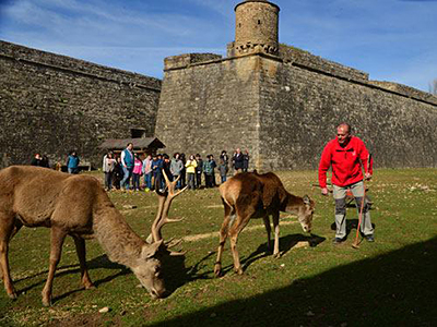 Visita la Ciudadela de Jaca