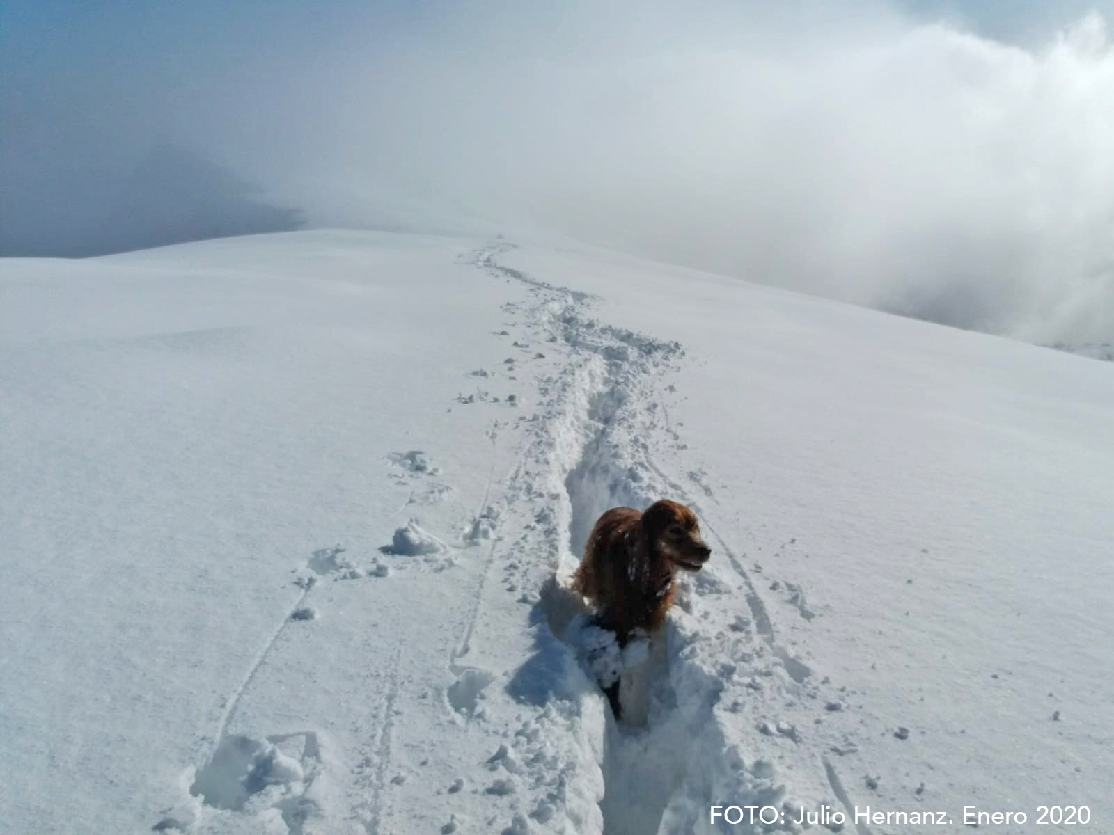 Gracias a las imágenes de Julio Hernanz podemos disfrutar de otra visión, más invernal, desde la cima de Peña Oroel. 