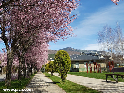 Jaca se protege frente al coronavirus 