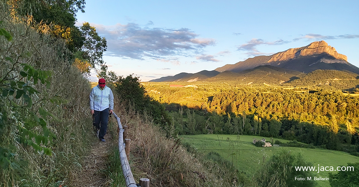 Entre las novedades para este verano 2020 se encuentran la visita de naturaleza en Rapitán, además de la visita histórica, y las rutas geológicas, cuyo objetivo radica en la divulgación del patrimonio geológico. Además, seguiremos disfrutando de la visita medieval, la del "Románico de la Solana" y la de "Mitos y tradiciones populares". También se podrán recorrer los senderos de Jaca con la actividad "Jaca, senderos de naturaleza e historia"