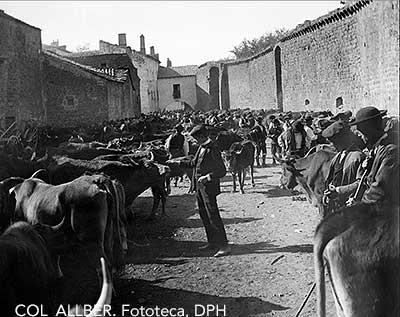 Además los que adquieran esta segunda edición descubrirán 17 fotografías inéditas de la muralla, entre ellas una realizada por el propio D. Santiago Ramón y Cajal, así como 2 interesantes mapas y algunos dibujos.