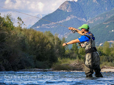 “Fishing in Aragón” es el producto turístico con el que difundir la práctica de la pesca en Aragón, creado desde el Gobierno de Aragón en colaboración con la Federación Aragonesa de Pesca. Los Pirineos nos permiten disfrutar de espacios únicos y zonas de pesca en todas las comarcas. Leer más 