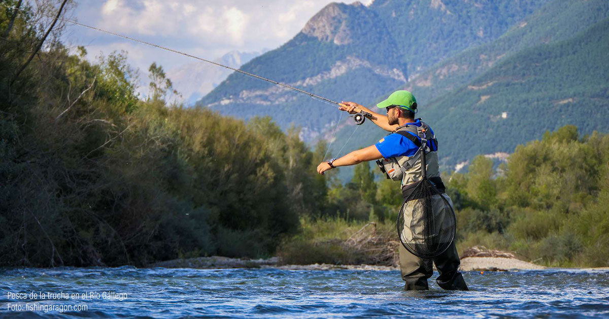 “Fishing in Aragón” es el producto turístico con el que difundir la práctica de la pesca en Aragón, creado desde el Gobierno de Aragón en colaboración con la Federación Aragonesa de Pesca. Los Pirineos nos permiten disfrutar de espacios únicos y zonas de pesca en todas las comarcas. 