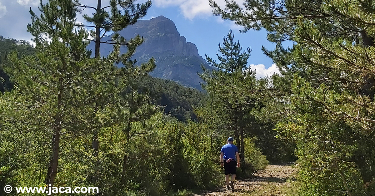 La naturaleza y la geología serán también protagonistas del programa de actividades de Jaca, a través de las "Rutas geológicas" que nos llevarán por las calles de Jaca, por el paseo, la Calzada romana y el camino a Oroel o el Ibón de Escalar y Collado de los Monjes en cuatro propuestas distintas: "Geología a pie de calle", "Jaca en medio del mar", "Oroel, una montaña con la falda adornada de conchas marinas" y "Astún, de los mares ecuatoriales a los glaciares pirenaicos. Historia de un cambio climático de 200 millones de años" (información sobre rutas geológicas).