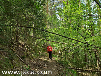 Desde el 2 de julio hasta el 4 de septiembre la agenda de Jaca propone cerca de 150 actividades en una completa agenda de propuestas de naturaleza, deporte, montaña, patrimonio o historia. Saber más...