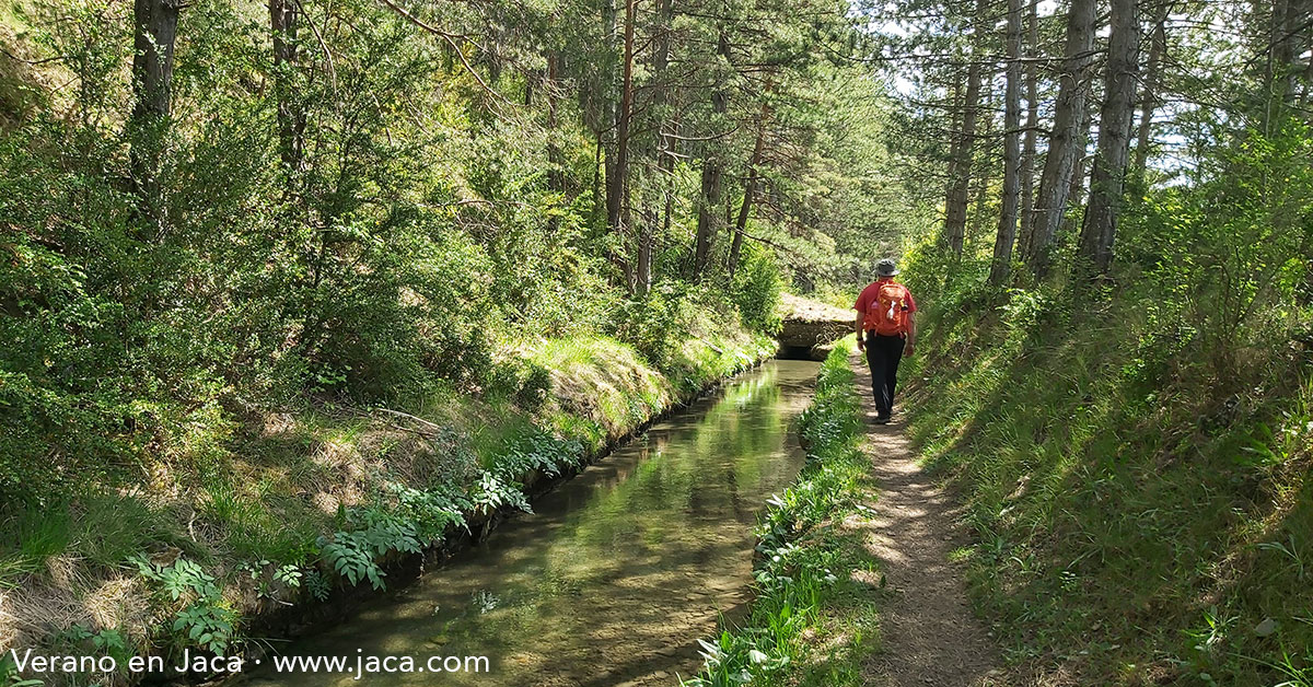 Desde el 2 de julio hasta el 4 de septiembre la agenda de Jaca propone cerca de 150 actividades en una completa agenda de propuestas de naturaleza, deporte, montaña, patrimonio o historia.