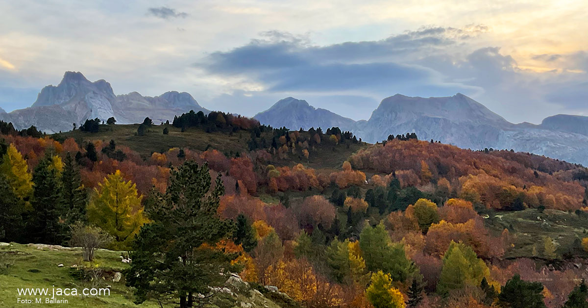 Si quieres disfrutar de Jaca y los Pirineos en este puente de Todos los Santos y Halloween, tenemos propuestas para toda la familia: misterio, patrimonio, montaña y espacios lúdicos, visitas teatralizadas y columpios gigantes, son solo algunas de las ideas que te proponemos.