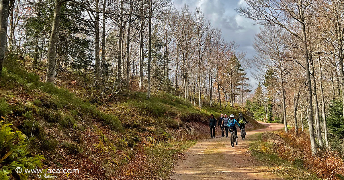 Las VII Jornadas Derecho y Montaña abordarán temas como la compatibilidad de usos en los espacios naturales, las responsabilidades penales en actividades de montaña o el cambio climático y sus efectos en las actividades en este entorno, entre otras cuestiones. 8/11/22 . Jaca Dos nuevas propuestas de visitas para este mes de noviembre con las que descubrir los secretos de la construcción de la catedral —a través de una visita teatralizada con Toño L'Hotellerie— y las pinturas de Fray Manuel Bayeu, con la guía del Museo Diocesano. 