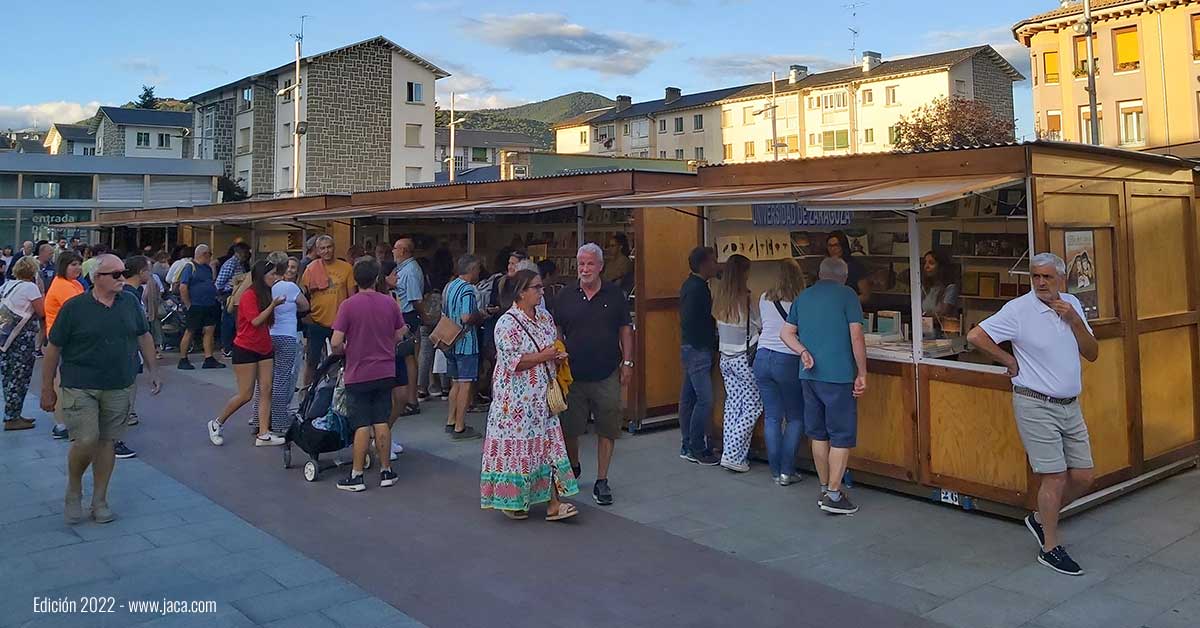 Durante estos cinco días tendremos conferencias, cuentacuentos, talleres de ilustración, teatro, mesas redondas y, por supuesto, presentaciones de casi una decena de libros entre los que se incluyen novedades como "El secreto de la Catedral de Jaca" de Domingo Buesa. 