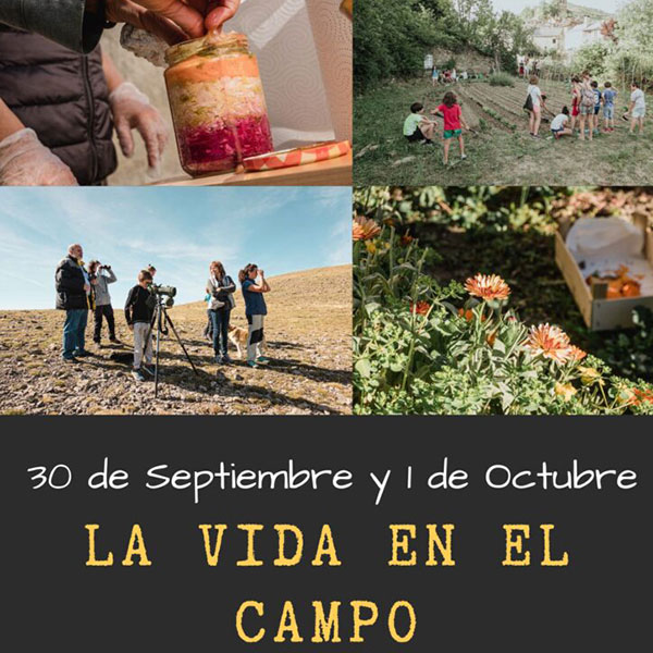 La vida en el campo y la recolecta, protagonistas en Borau