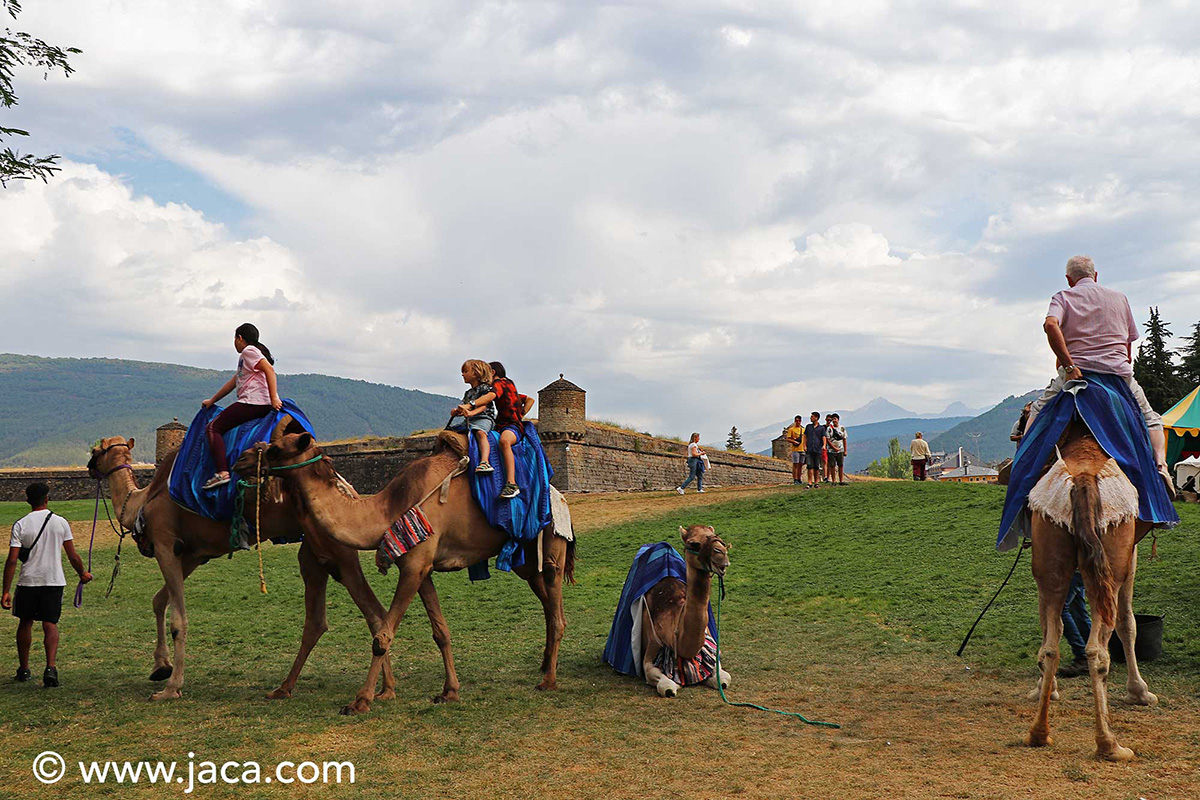 Mercado Medieval de Jaca 'Jaca, Reino y Leyenda', un fin de semana para viajar al Medievo