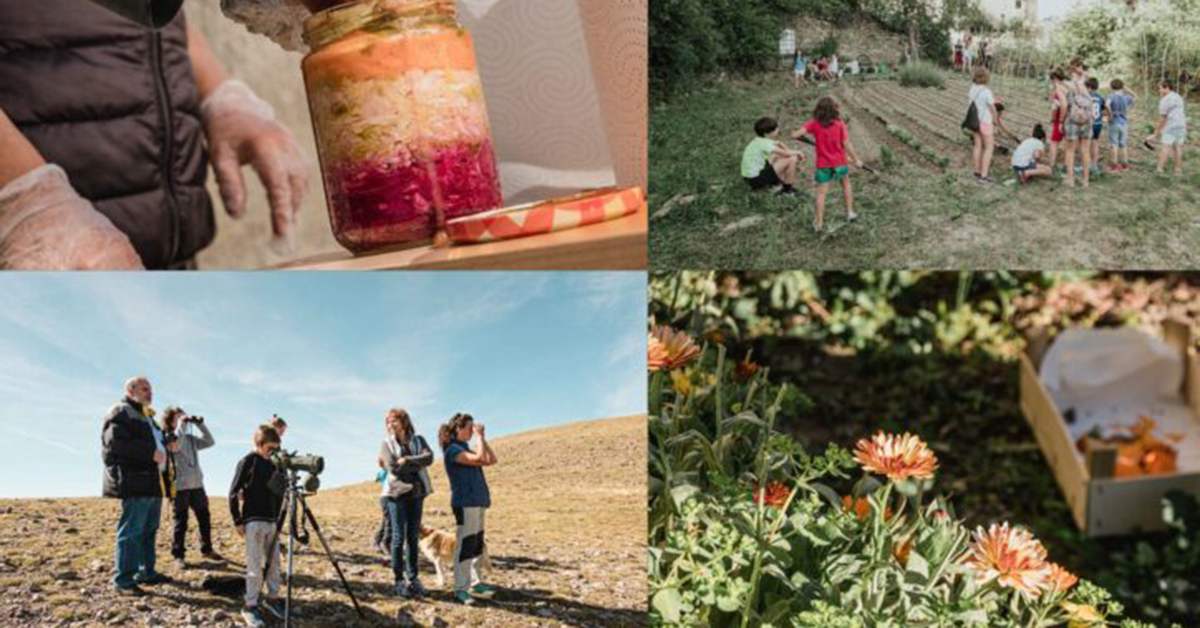 La vida en el campo y la recolecta, protagonistas en Borau