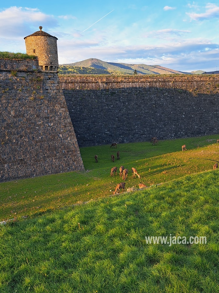 Ciudadela de Jaca: historia viva y patrimonio al alcance de todos